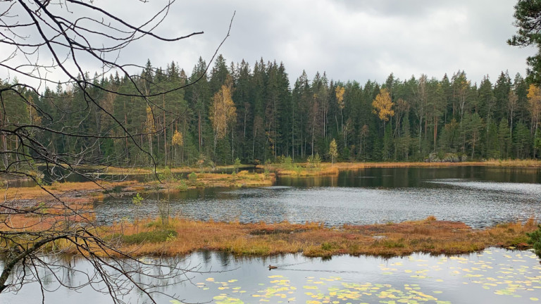 Nuuksion kansallispuiston laajentaminen suunnitteilla