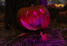 Puotilan puisto piristää, vaikka Halloween olisi vain hyvänpäiväntuttu
