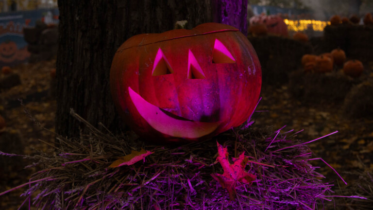 Puotilan puisto piristää, vaikka Halloween olisi vain hyvänpäiväntuttu