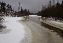 Leudot talvet ovat riski ihmiselle ja eläimille