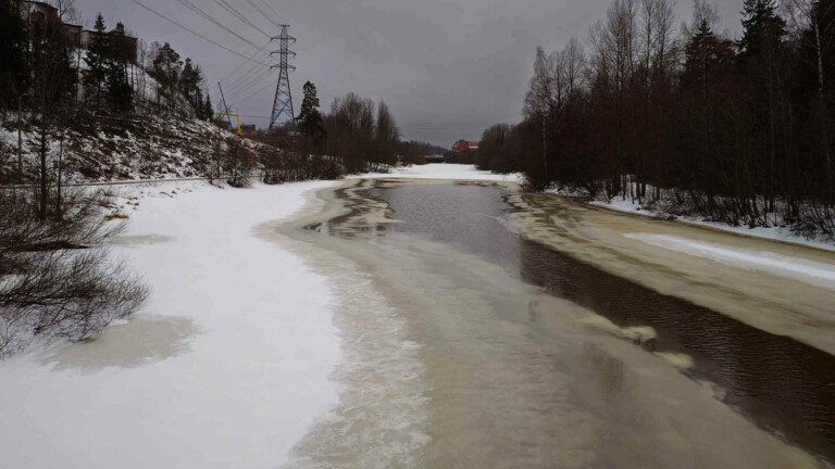Leudot talvet ovat riski ihmiselle ja eläimille