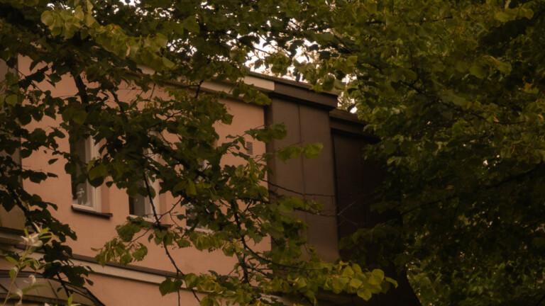 Syksyn vihreillä – uuden rakkauden kynnyksellä
