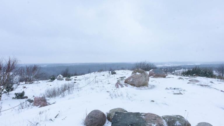 Millainen kaupunkiulkoilualue on Vuosaarenhuippu?